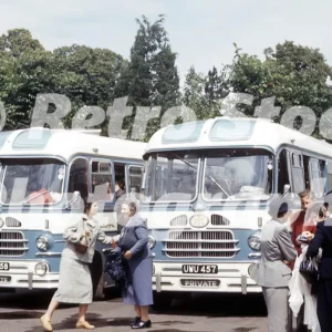 A pair of anderton's coaches seen in the 1950s 52741876448 o