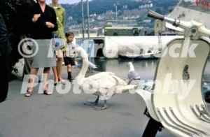 Dartmouth Devon 1967 Swan Moped 52273059536 o