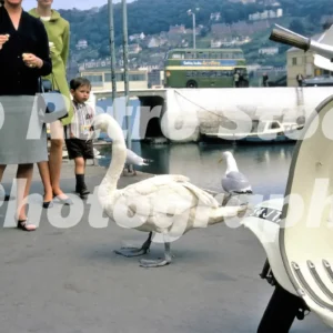 Dartmouth Devon 1967 Swan Moped 52273059536 o