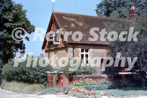 Evelyn Hall, Abinger Common 1950s