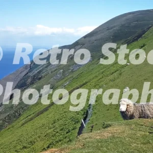 Exmoor North Devon 1960 31074464044 o