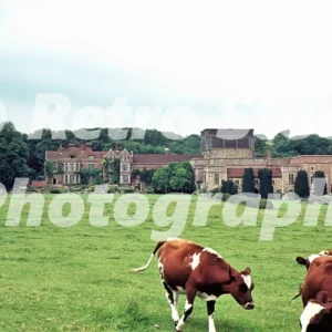 Glyndebourne Manor Nr Lewes East Sussex 1964 52273053686 o