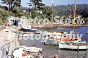 Percuil river, cornwall 1960s 52273094753 o
