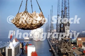 Southampton Docks 1962 Unloading mail from the SS France 38852009762 o