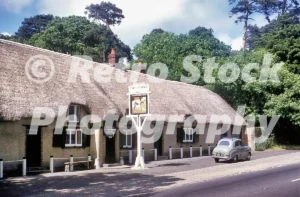 The Cat Fiddle Lyndhurst Road Hinton Admiral 1950s 52742221246 o 20250419 144946