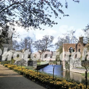 Westgate Gardens Canterbury 1958 52742704358 o