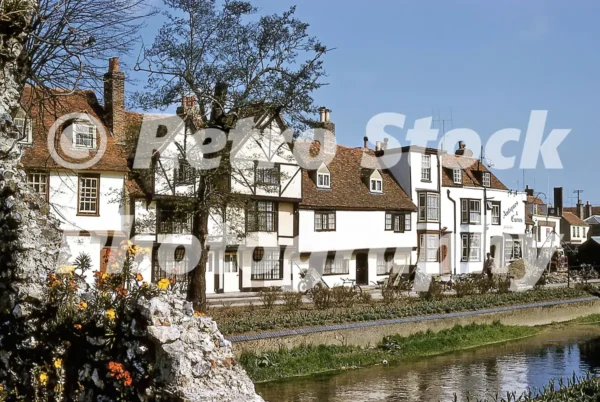 Westgate Grove Canterbury 1958 52742704933 o