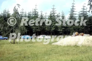 Safari Park seen in 1974