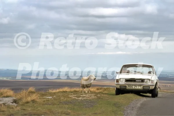 austin allegro and sheep tan hill north yorkshire 1984 52101827368 o
