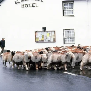 black bull hotel coniston 1980 52273701855 o