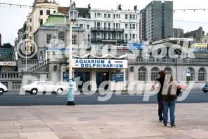 Brighton Aquarium & Dolphinarium 1971