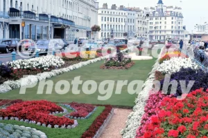 carpet gardens at eastbourne 1971 52152124116 o