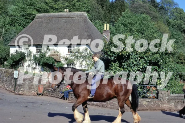 cockington nr torquay devon 1973 52152143031 o