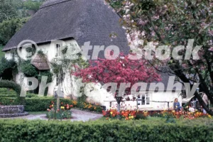 cockington nr torquay devon 1973 52152153491 o
