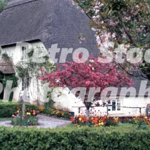 cockington nr torquay devon 1973 52152153491 o