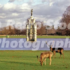 diana fountain bushy park richmond upon thames 1980s 52273215198 o