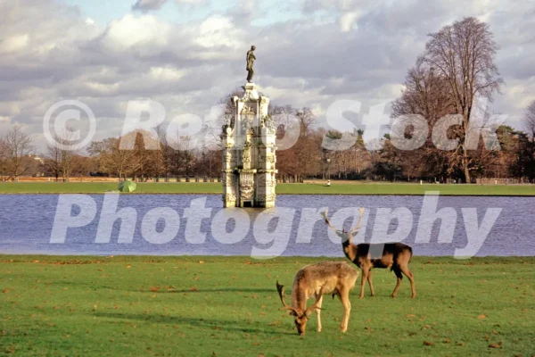 diana fountain bushy park richmond upon thames 1980s 52273215198 o