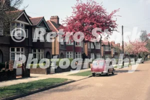 dorchester waye hayes 1970 52152177023 o