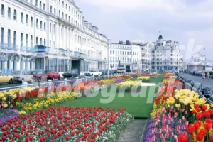 eastbourne 1980 52273441644 o