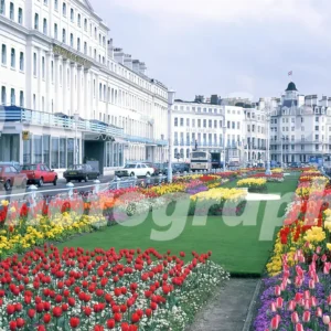 eastbourne 1980 52273441644 o