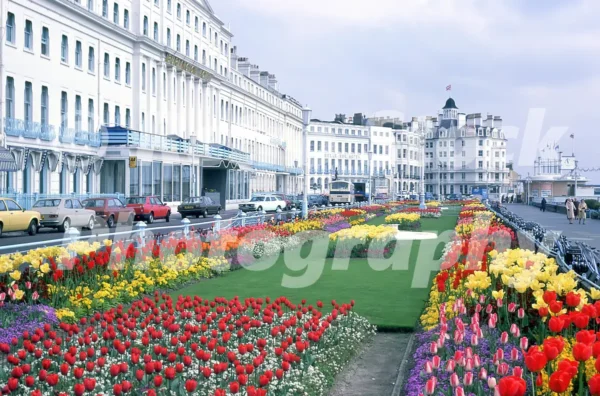 eastbourne 1980 52273441644 o