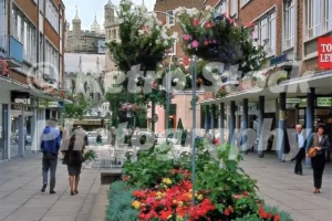 exeter 1984 52273700510 o