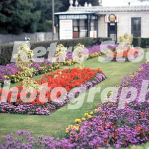 gardens at folkestone kent 1971 52152367064 o