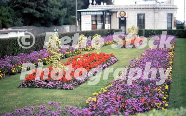 gardens at folkestone kent 1971 52152367064 o