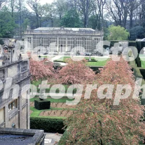 gardens of longleat house wiltshire 1973 52152639945 o