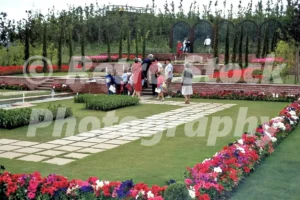 liverpool garden festival 1984 52273197976 o