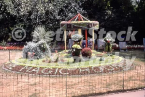 magic roundabout flower display parade gardens bath 1975 33097401985 o