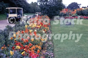 milk float near saltwood kent 1971 52152622385 o