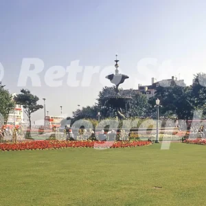 old steine gardens brighton 1970 52152201488 o