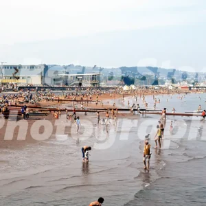 paignton devon 1977 52152211628 o