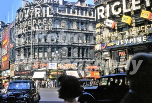 piccadilly circus london 1955 52273736400 o