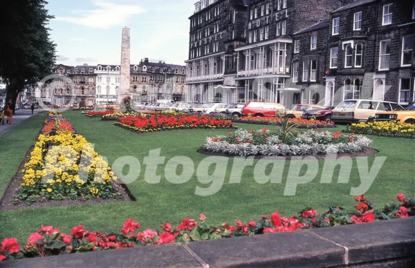 prospect place harrogate 1981 52273213146 o