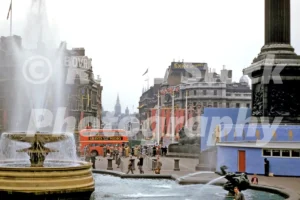 queens coronation at trafalgar square london 1953 52273235976 o