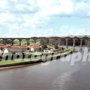 railway viaduct berwick upon tweed 1978 52152704565 o