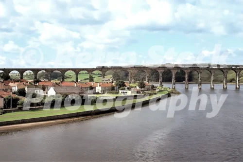 Royal Border Bridge, Berwick upon Tweed 1978 - Vintage photo