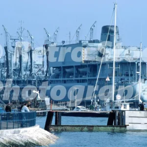 rfa olmeda seen in 1984 52272235547 o