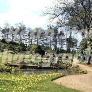 rhs gardens wisley surrey 1971 52151171632 o
