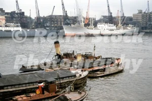 river thames london 1950s 52273739825 o