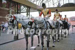 royalty empire exhibition windsor 1985 52272245817 o