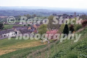 shaftsbury dorset 1973 52152394769 o
