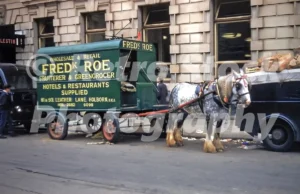 A 1950s colour photo of a horse-drawn delivery cart for Frederick Roe fruiterer and greengrocer on a London street in 1956.