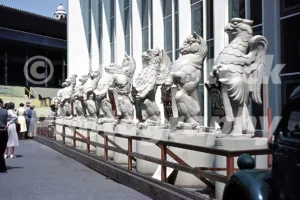 the queens beasts outside westminster abbey queens coronation 1953 52741419759 o
