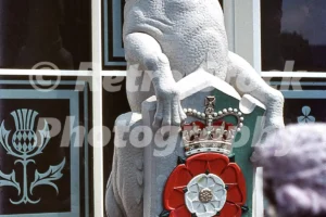 the queens beasts outside westminster abbey queens coronation 1953 52741657373 o