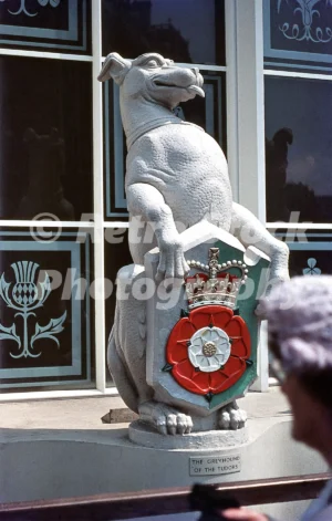 A 1950s colour photo of James Woodford’s "The Greyhound of the Tudors" sculpture, part of The Queen's Beasts collection, on display outside the temporary annexe of Westminster Abbey for the 1953 Coronation.