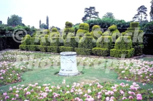 topiary chess set hever castle 1978 29787982657 o