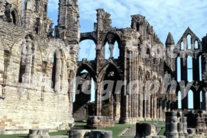 whitby abbey north yorkshire 1979 52152184833 o